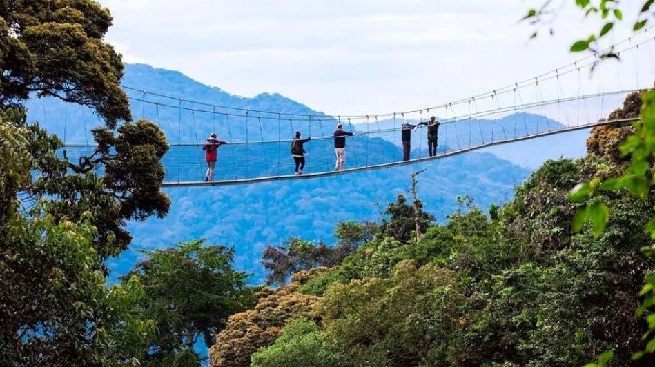 Canopy Walkway (Nyungwe), Nyungwe Forest, Rwanda